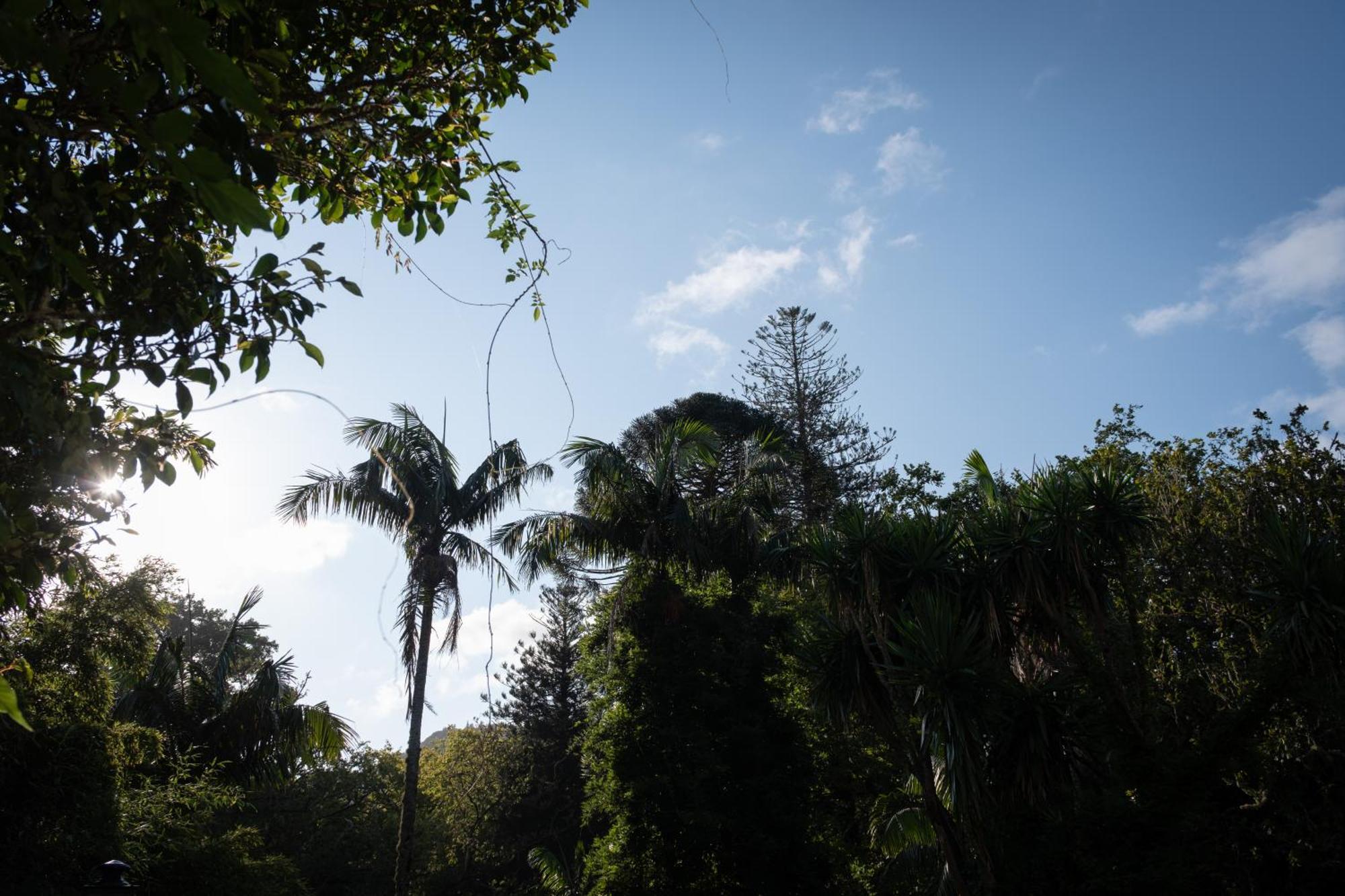 Canto's Garden, Turisticos & Spa, 4 Estrelas
