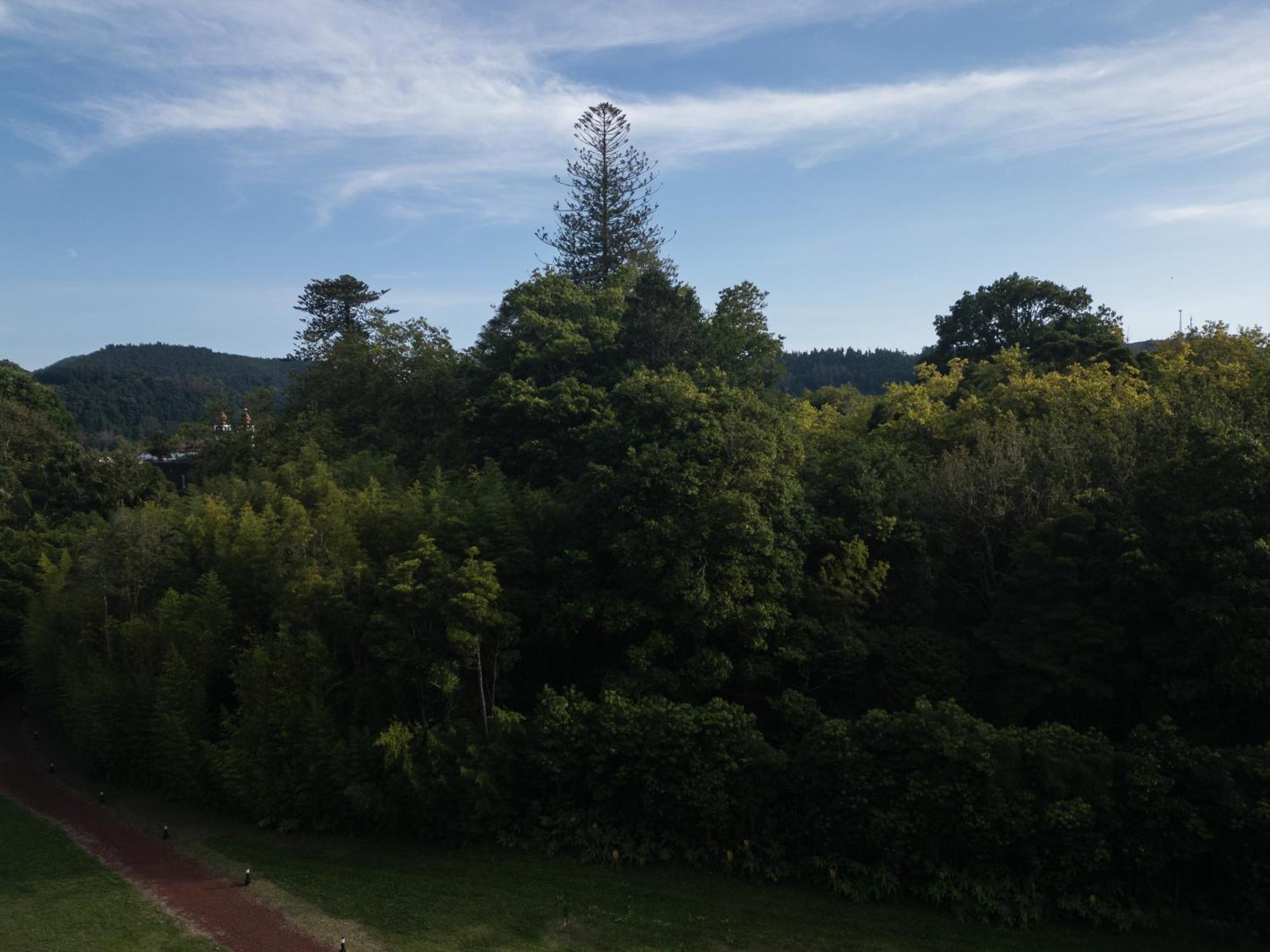 Canto's Garden, Turisticos & Spa, 4 Estrelas Apartment